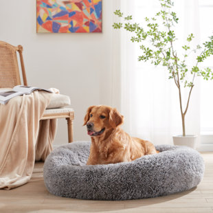 Large round deals dog bed